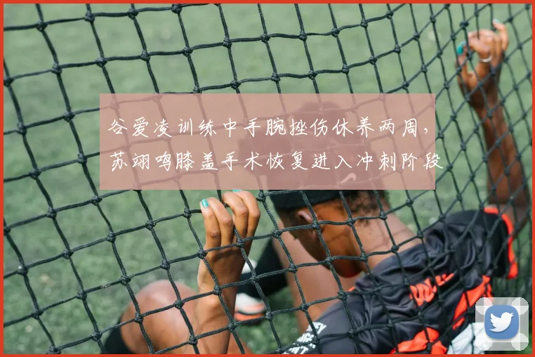 谷爱凌训练中手腕挫伤休养两周,苏翊鸣膝盖手术恢复进入冲刺阶段,冰雪双子星康复进度差异大