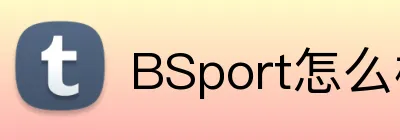 BSport怎么样 Logo